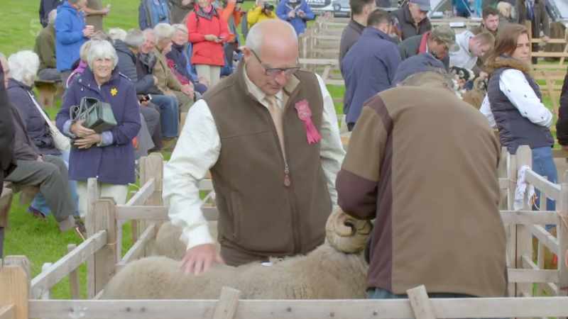 Winning a rosette here can not only boost a farmer's reputation
