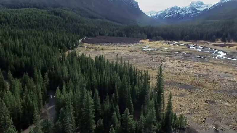 Winter comes early to yellowstone