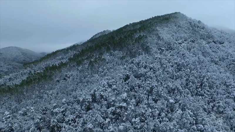 Winter is felt right across this island wilderness