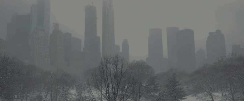 Winter in the city really is beautiful