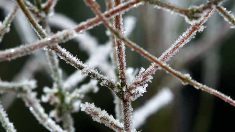 winter-temperatures-here-plummet-to-minus-50