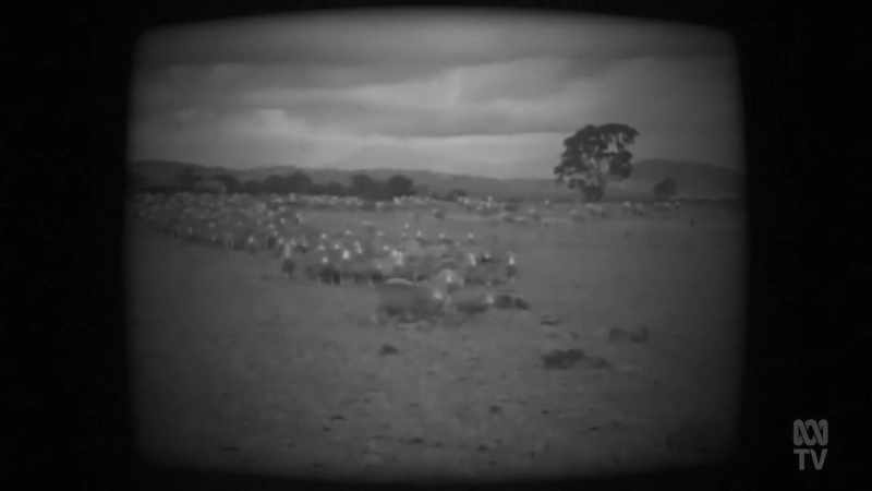 With a sheep population of 125 millions