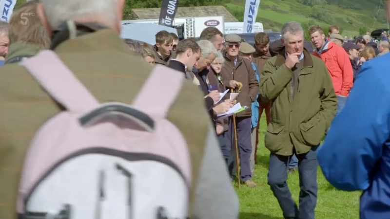 With Clive and his sheep in the ring, the judging can start