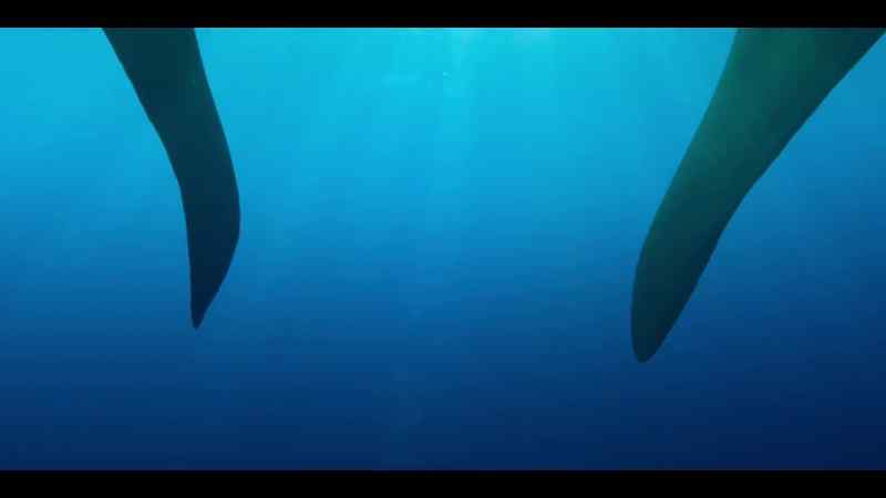 With consequences for those swimming far above
