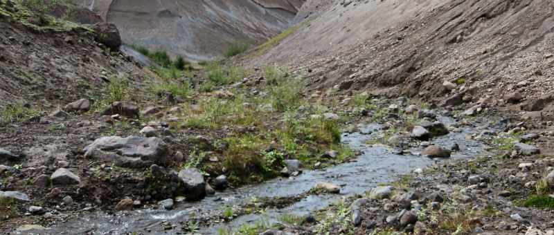 With incredible streams, and meadows, and wildlife