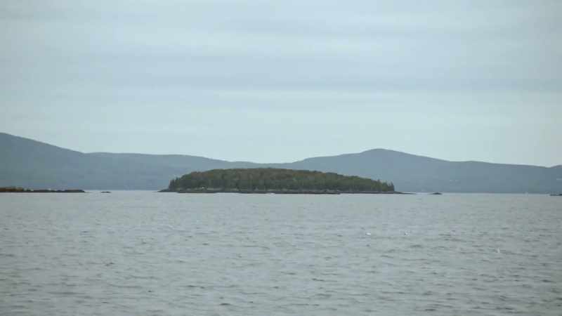 With Maine being known for its amazing shellfish