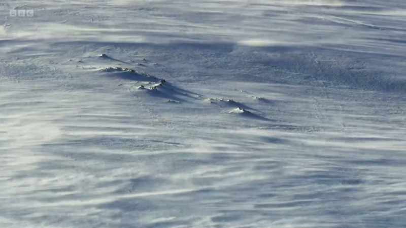 with temperatures dropping to -27 degrees centigrade