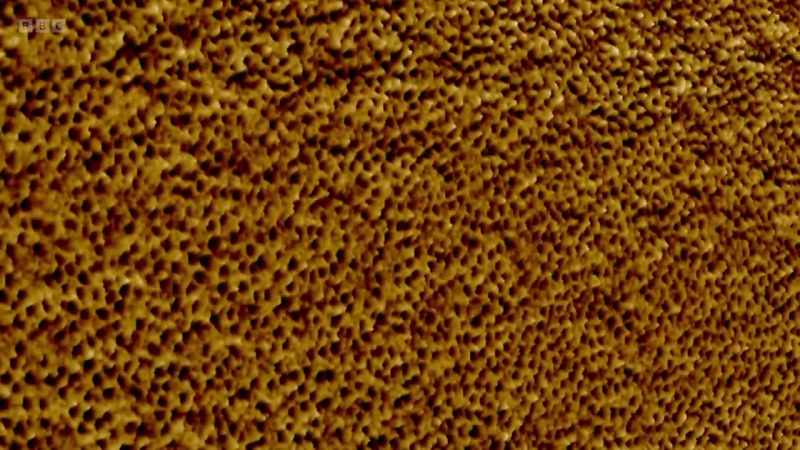 With the atomic force microscope