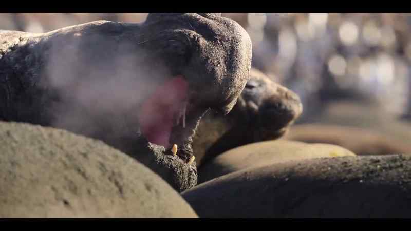 With the beach overcrowded, tensions are growing