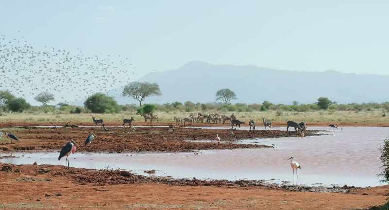 With the dry season setting in, there's no going back