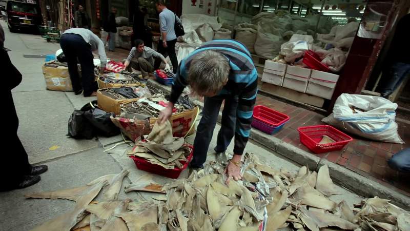 With the explosion of demand in China