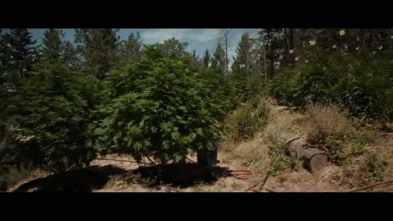 With the growers' cases where you have Hispanic workers