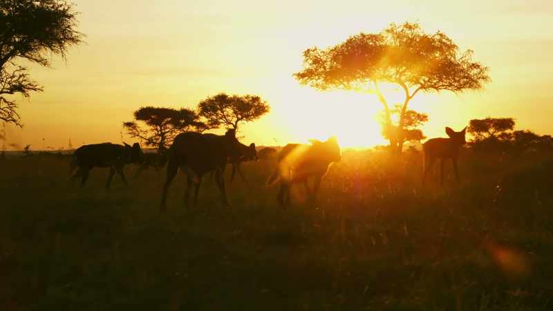 With the land reborn