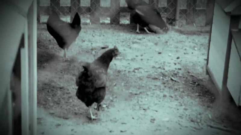 with-the-macabre-creature