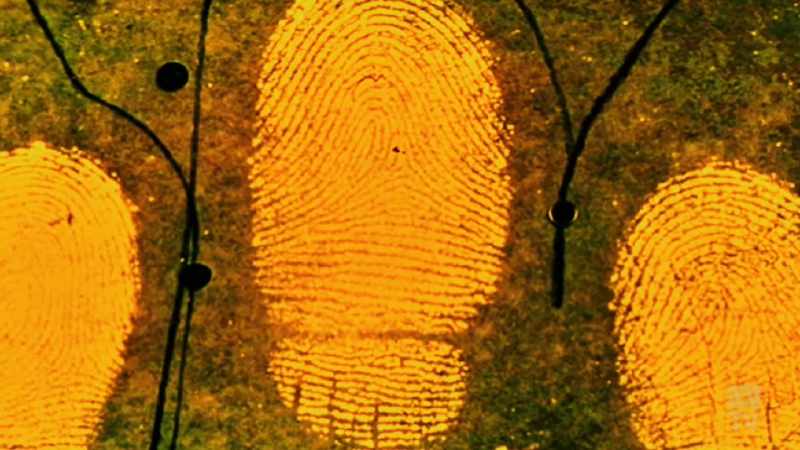 With the murder solved, a commercial version was developed