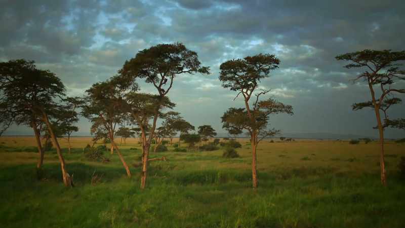 With the plains deserted