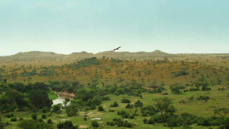With the plains dry and empty