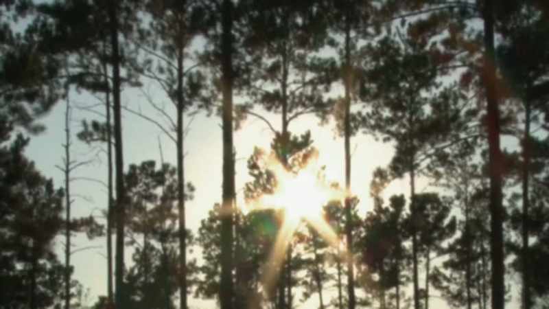WITH THE SUN SETTING, CREWS HAVE FINISHED UP THEIR SEARCH