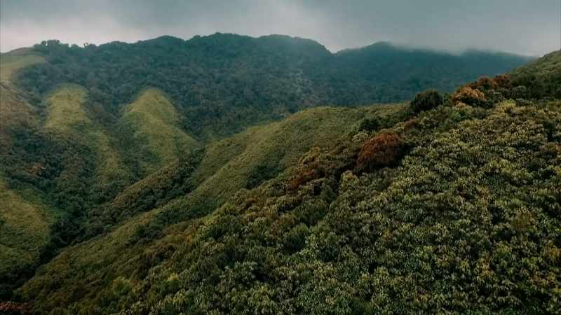 with-vast-tracts-of-unexplored-forest