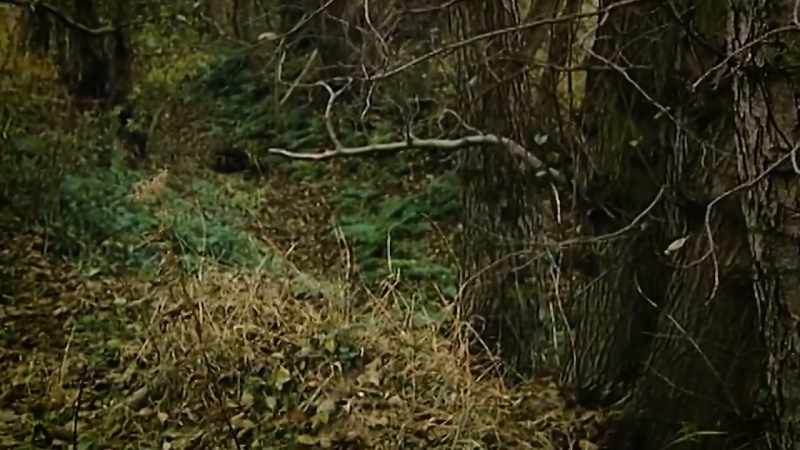 Within the ditch whilst we were searching
