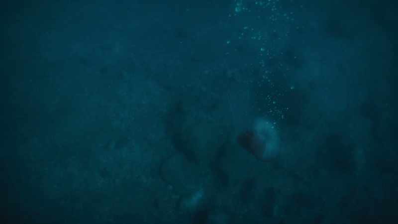 Without it, they sink helplessly to the seabed