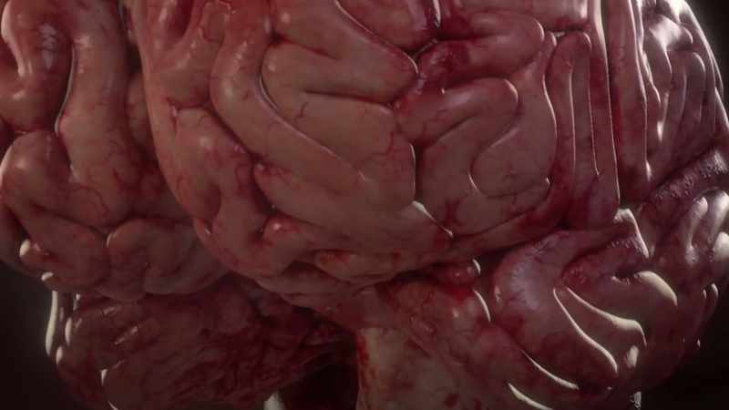 Without oxygen, the brain gets foggy