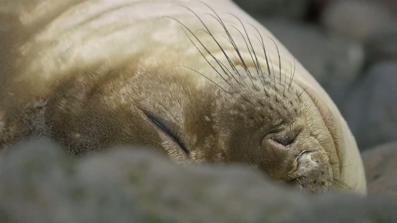 '..without waking them.'