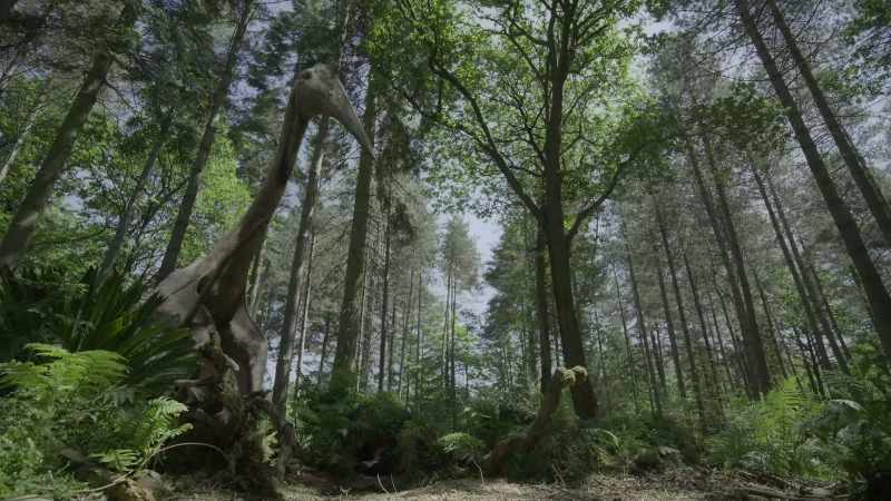 [Witton] The biggest pterosaur track in the world was made