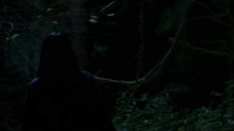 [wolf howling]