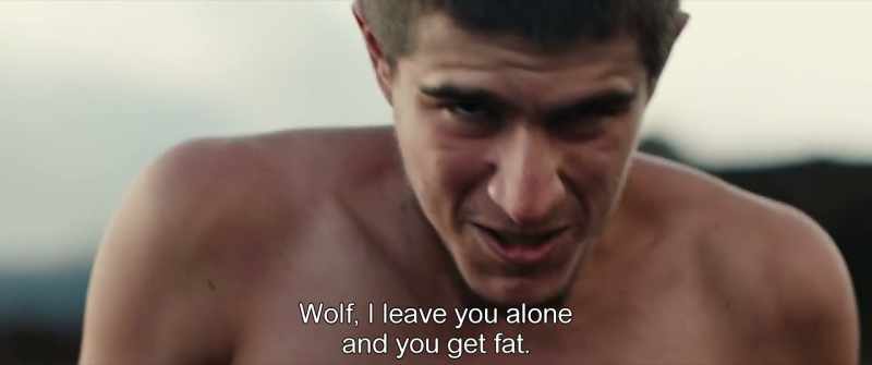 Wolf, I leave you alone and you get fat