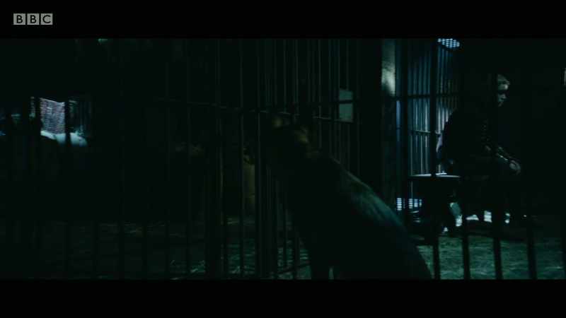 WOLF WHINES
