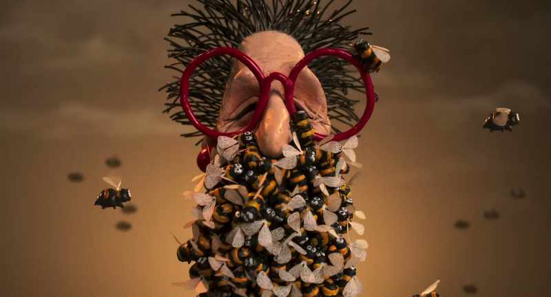 Won a bee beard contest