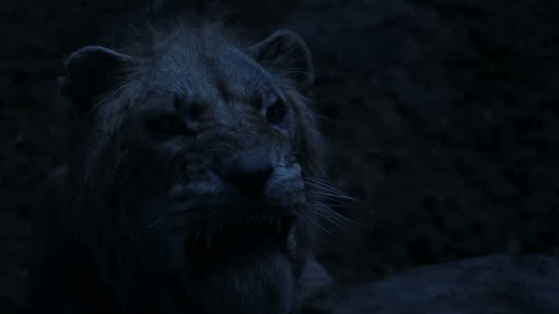 Uh, Scar!