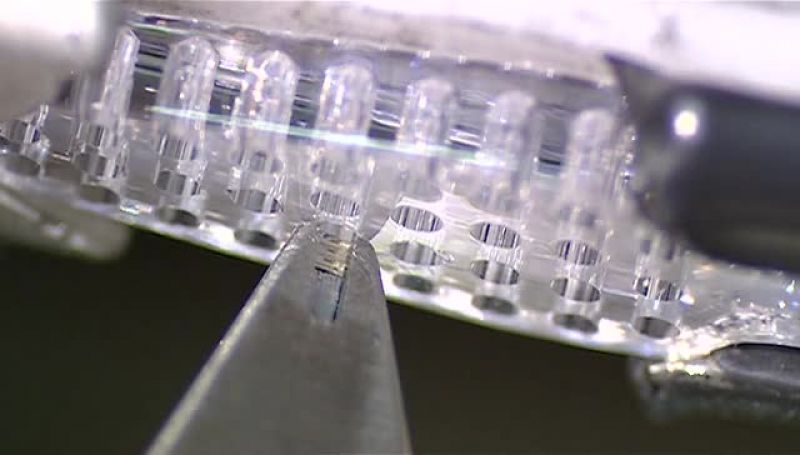 WONDERING WHAT HOLDS THE BRISTLES IN PLACE?