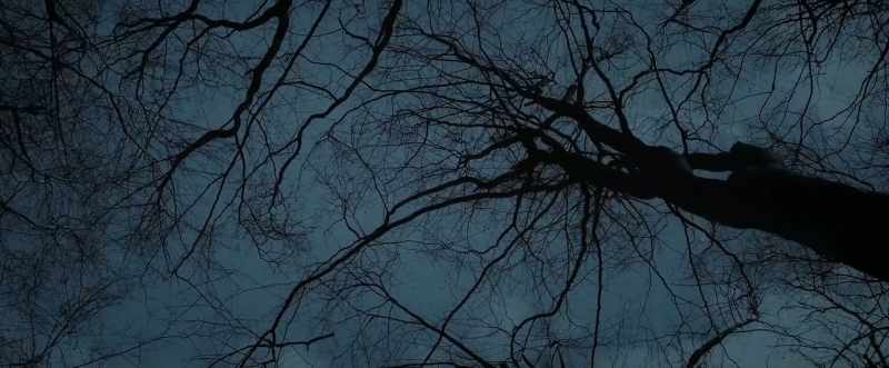 (wood creaking) (ominous music)