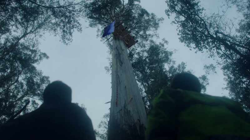 (WOOD CREAKING)