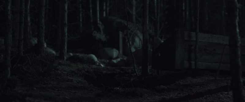 [wood creaks]
