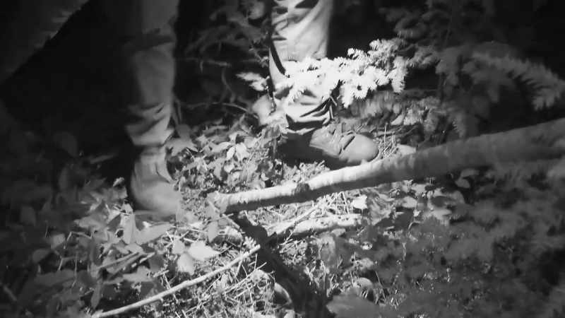 [wood rustling]