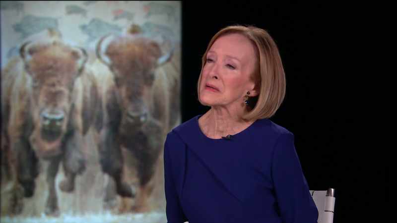 WOODRUFF: I do want to come back to this question that