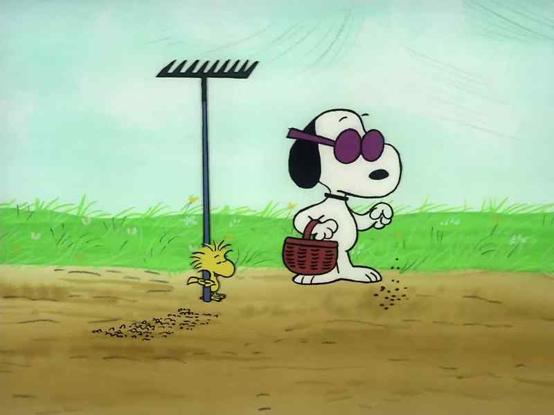[WOODSTOCK SLURPS]