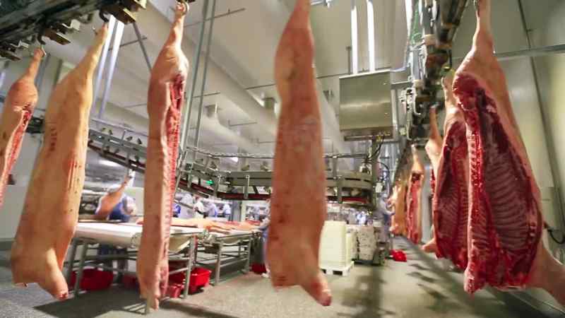 Working in slaughterhouses
