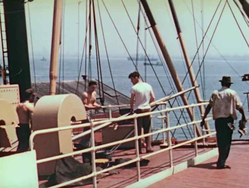 Working onboard ship, every seafarer knows that his job