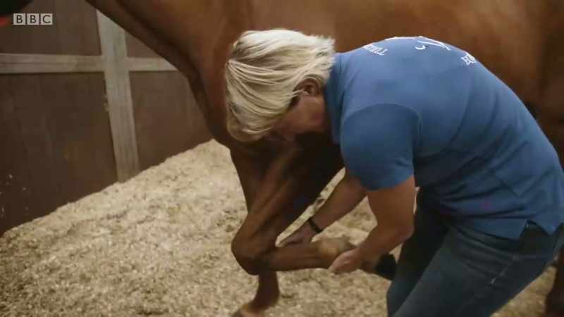 Working with animals is a daily pleasure for Inge