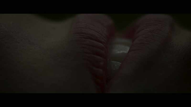 Worms in the body?