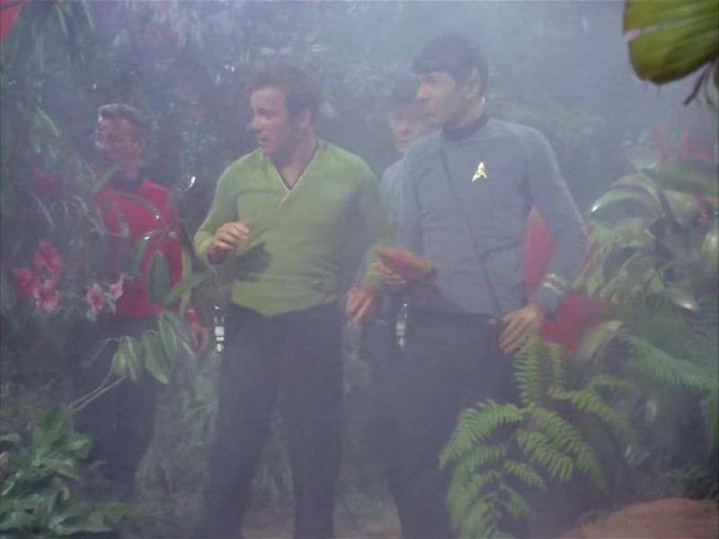 Would you mind being careful where you throw your rocks, Spock?