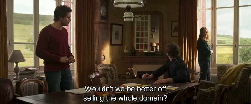 Wouldn't we be better off selling the whole domain'?