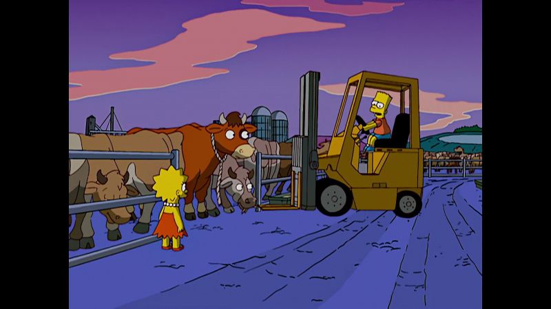 Wow, you did learn a lot at 4-H