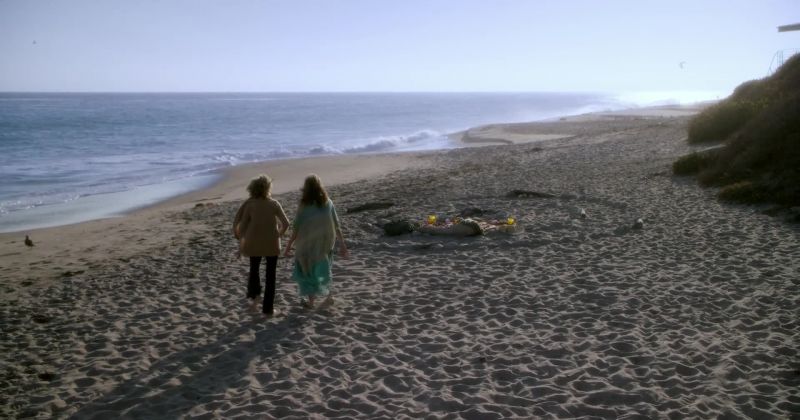 Wow, I must have half the beach in my vagina