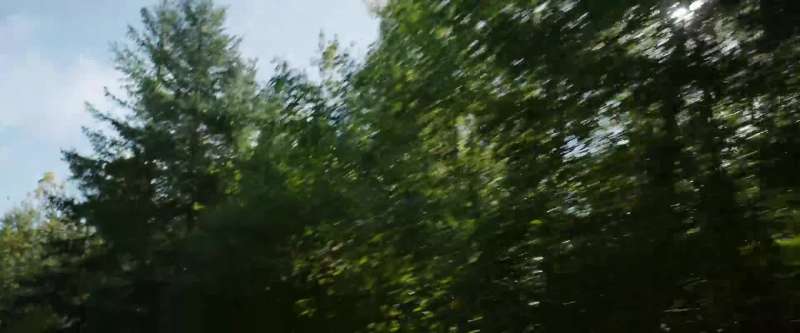 Wow I'm out in those woods every day