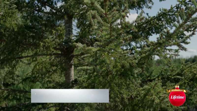 Wow, this is a really special tree